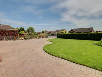 Picture 20